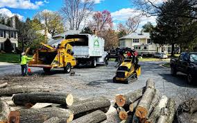 Archer Lodge, NC Tree Removal Company